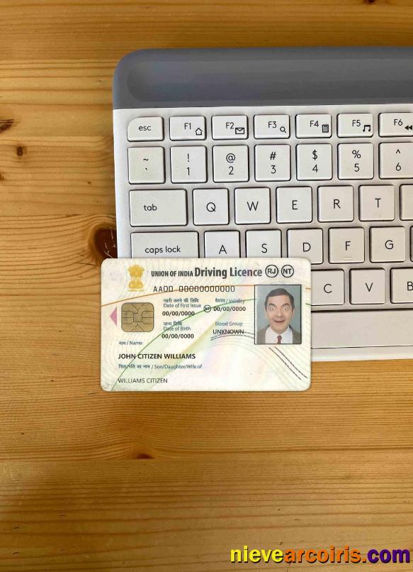 India driving license  photolook